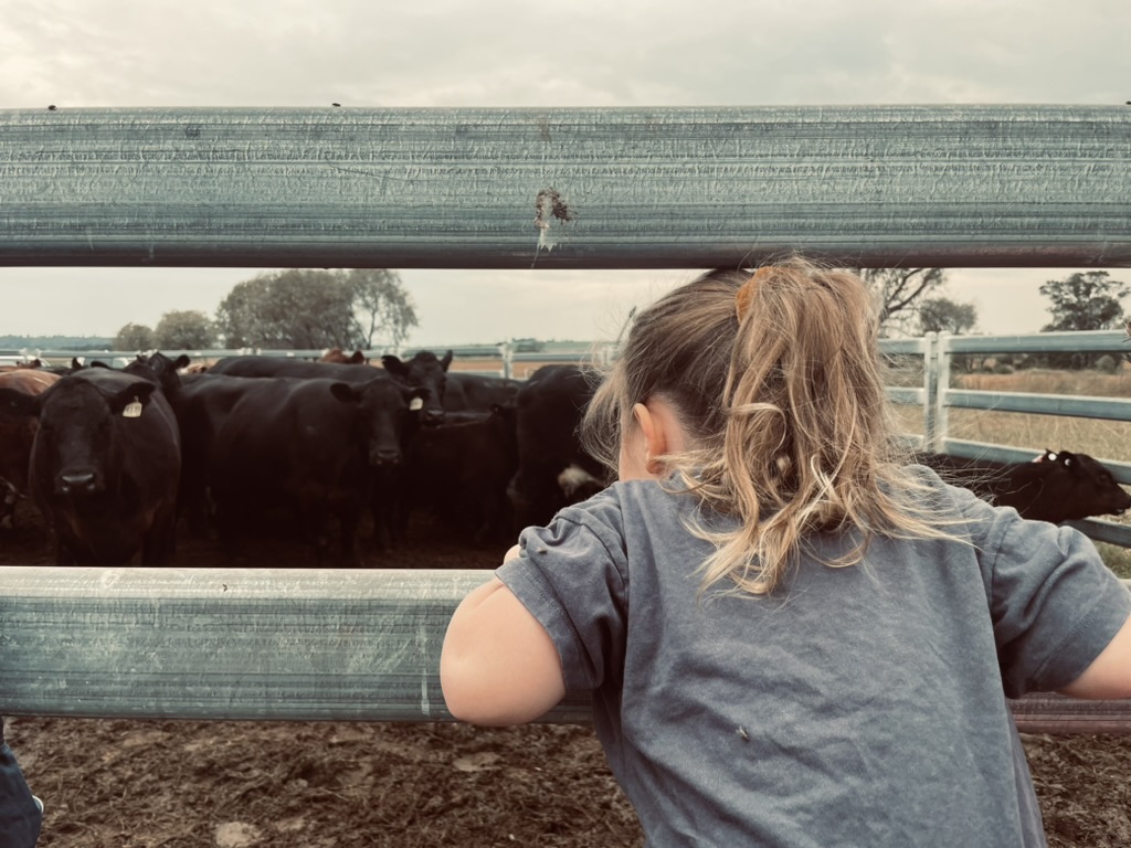 North West NSW farmland